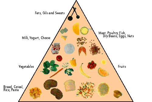 Food Pyramid