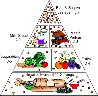 Food Guide Pyramid